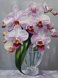 by Mihaela B