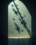 by Mihaela B