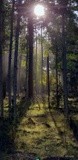 by SA KOONTZ
