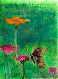 by Joanne  Fort