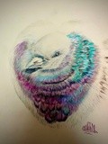 by Ariella Belau