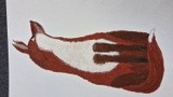 by Barbara Ellis