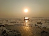 by Neha 