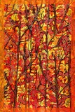 by Nira Dabush
