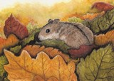 by AmyLyn Bihrle