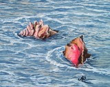 by Cristina Marsi