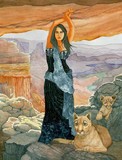 by Amanda Robison
