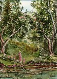 by Rhonda Shereck