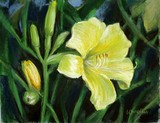 by Lynne Chrapliwy