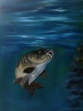 by Cynthia Adams