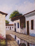 by Adriana Bucci Dinamarco