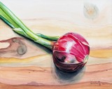 by Jennifer Redstreake