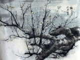 by Bo Han