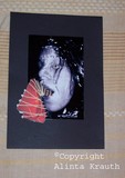 by Alinta Krauth