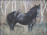 by Lorinda Larson-Dull