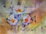 by Malcolm Coils