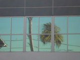 by Joseph Aprile