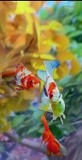 by Barry Huyett