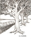 by James Anderson