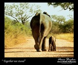 by Marie Strydom