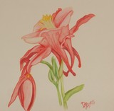 by Debbie Byess