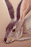 by Kathie Miller