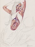by stephanie knight