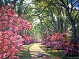 by Ingrid Dohm