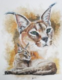 by Barbara Keith