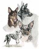 by Barbara Keith