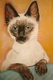 by susan beswick