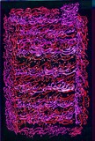 by Shahram  S. Nahavandi