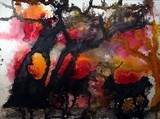 by Nathan Speir