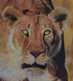 by d Mac'Carthy
