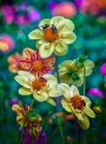 by Dan Hill