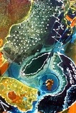 by Marilyn Brown