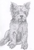 by A L Tipton