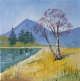 by Cynthia Taylor