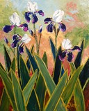 by Alison Vernon