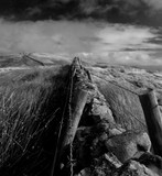 by Ranald Dods