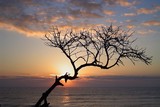 by Arvind T. Akki