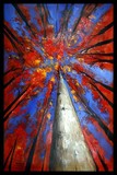 by Mark Zyler
