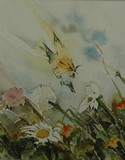 by RAYYANEH KARAMI