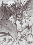 by MATTHEW ZINN