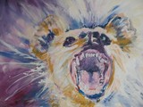 by Terri Christofferson