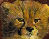 by judie cole