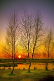 by John Walsh