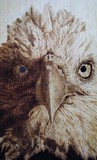 by brenda gossel