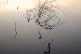 by Vidhya Jeganmohan
