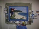 by dv8 murals 